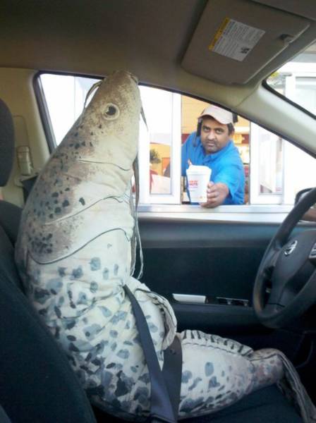 Acid Picdump (106 pics)