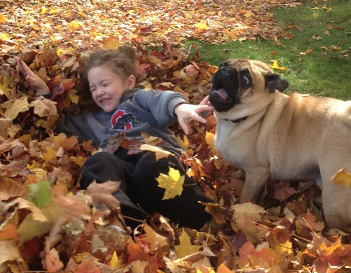 The Love Of A Dog Is A Great Gift To Give Your Child (20 pics)