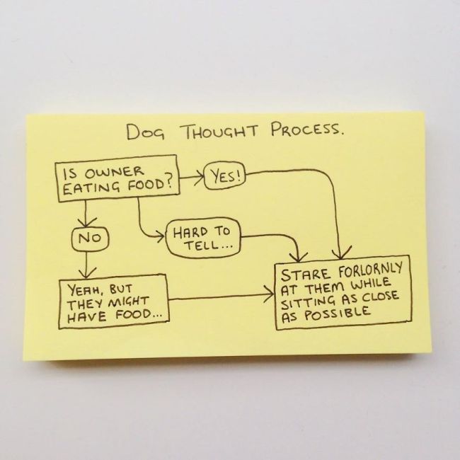 Honest And Hilarious Illustrations That Perfectly Explain Adulthood (33 pics)