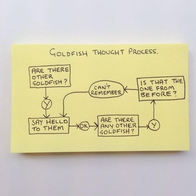 Honest And Hilarious Illustrations That Perfectly Explain Adulthood (33 pics)