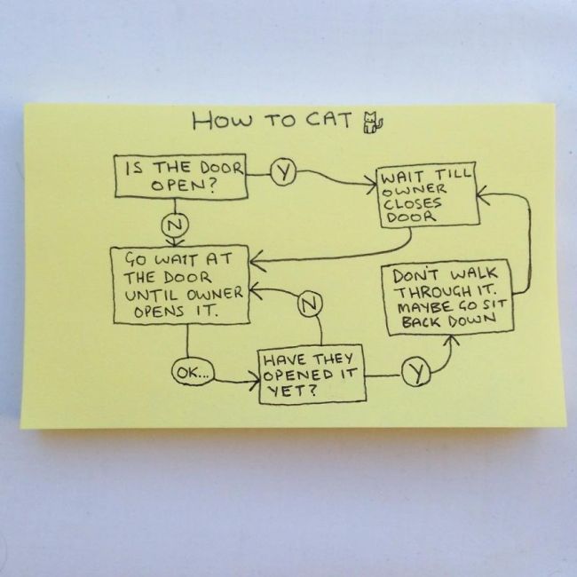 Honest And Hilarious Illustrations That Perfectly Explain Adulthood (33 pics)