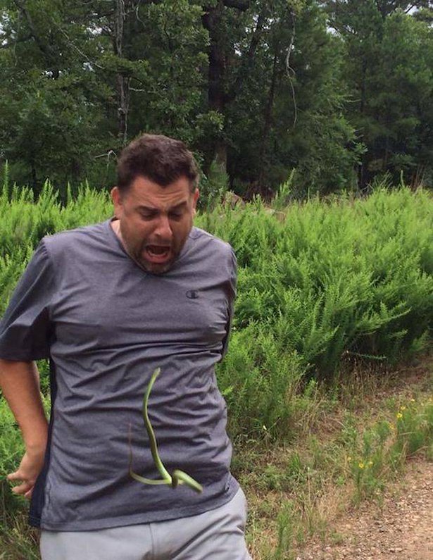 WTF Pictures (69 pics)