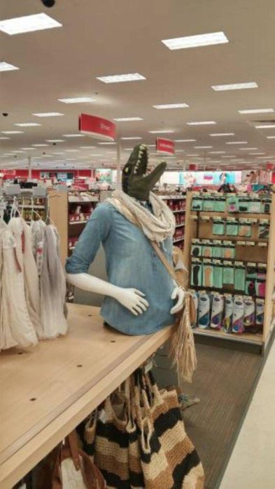 WTF Pictures (69 pics)
