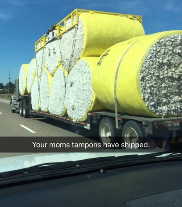 WTF Pictures (69 pics)