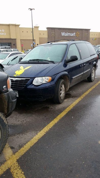 WTF Pictures (69 pics)