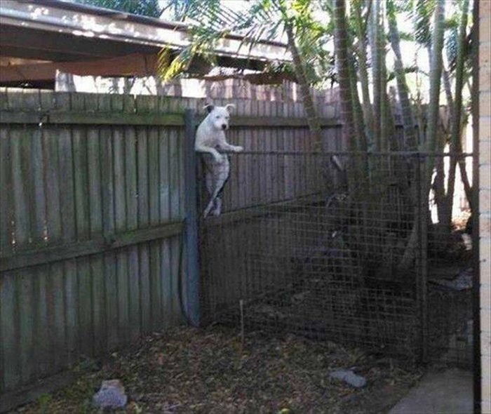 WTF Pictures (69 pics)