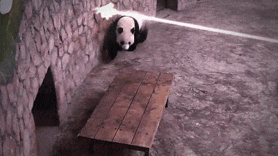 Regular GIFs Become Extraordinary When They Get The Michael Bay Treatment (10 gifs)