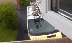 Regular GIFs Become Extraordinary When They Get The Michael Bay Treatment (10 gifs)