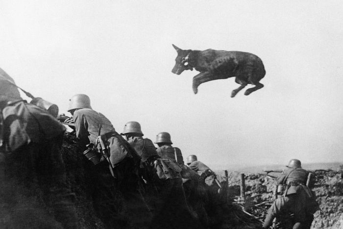 Fascinating Photos Collected From History (19 pics) Fascinating Photos Collected From History (19 pics)