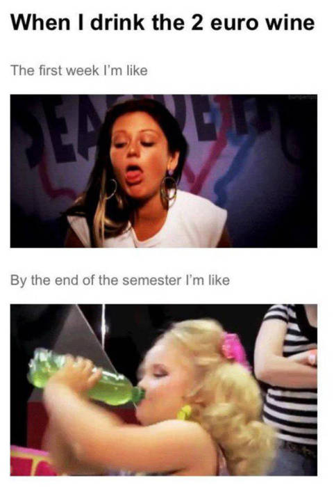 College Is Full Of Fun And Debauchery (58 pics)
