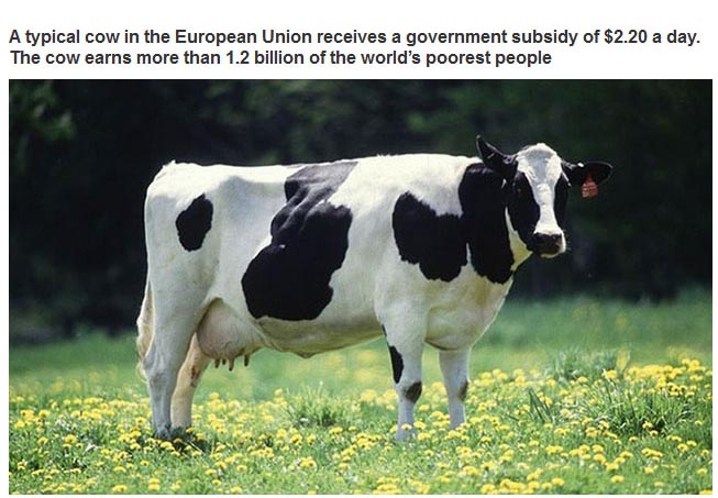 25 Statistics About The World We Live In That Are Just Plain Sad (25 pics)