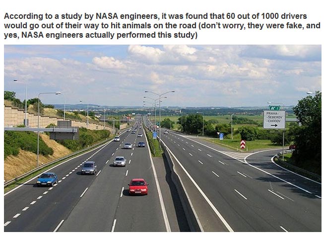 25 Statistics About The World We Live In That Are Just Plain Sad (25 pics)
