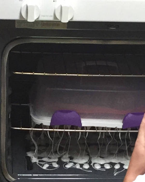 Times When Things Got a Little Too Crazy for Words (40 pics)