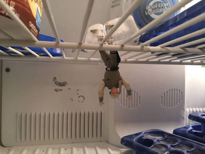 Times When Things Got a Little Too Crazy for Words (40 pics)
