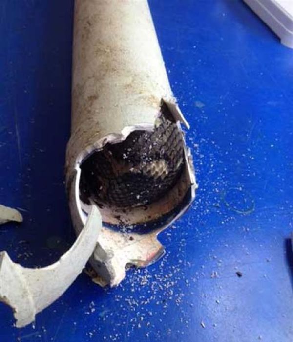 Full Size Python Gets Stuck In A Drainpipe (5 pics)