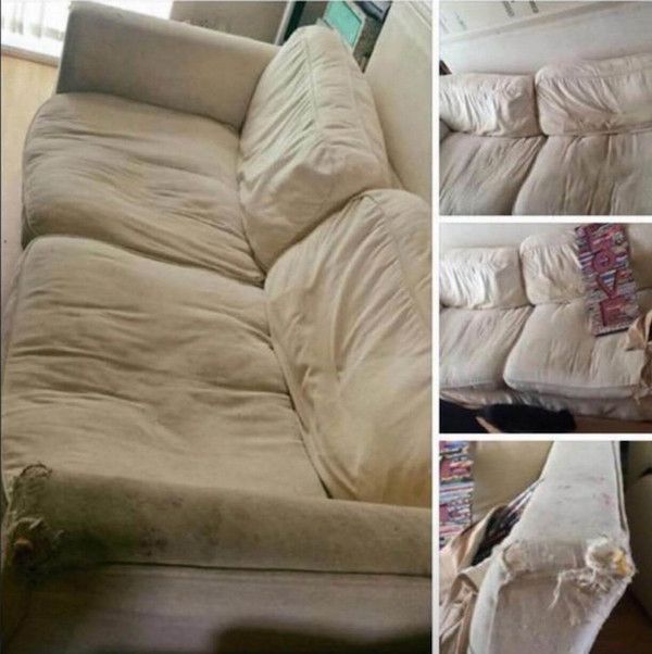 Craigslist Scam Has An Unexpected Twist (10 pics)