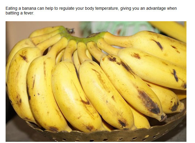 Important Facts You Probably Didn't Know About Bananas (20 pics)
