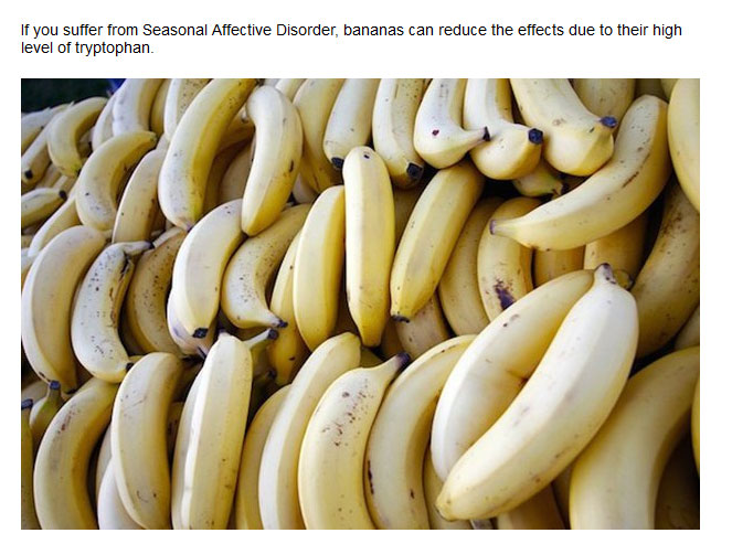 Important Facts You Probably Didn't Know About Bananas (20 pics)