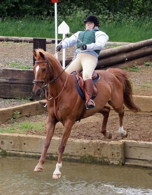 Perfectly Timed Sports Photos That Are Simply Spectacular (35 pics)
