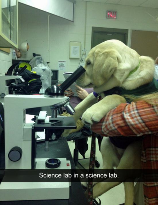 These Golden Moments Belong In The Snapchat Hall Of Fame (21 pics)