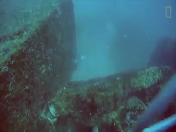 Fish Stealing His Bait
