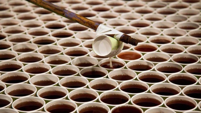 Artist Uses 66,000 Paper Cups To Create A Massive Mosaic (4 pics + video)