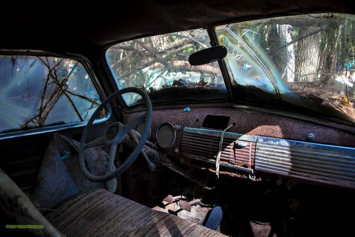 Welcome To Old Car City, The World's Largest Classic Car Junkyard (19 pics)