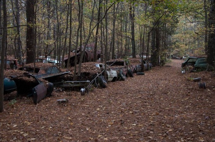 Welcome To Old Car City, The World's Largest Classic Car Junkyard (19 pics)
