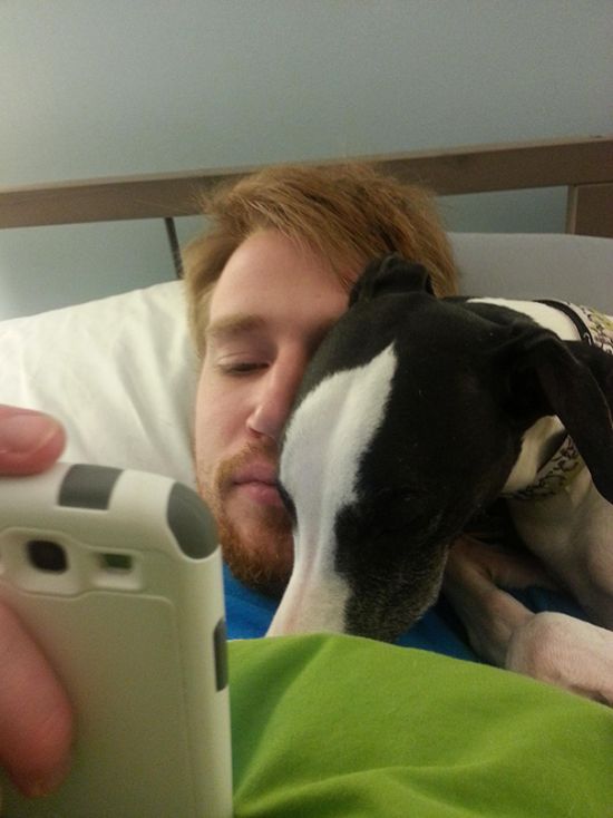 These Dogs Would Be Happy To Invade Your Personal Space (36 pics)
