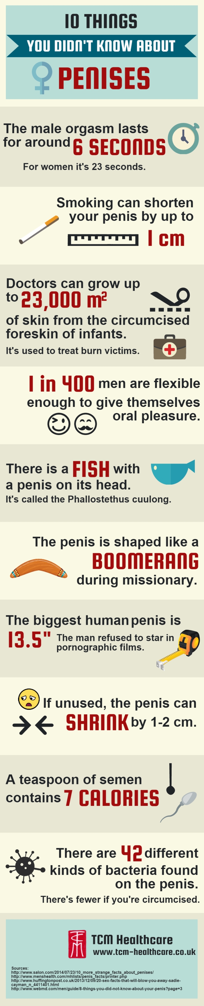 10 Important Things You Probably Didn't Know About Penises (infographic)