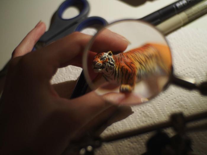 Tiger Figurine Gets A Total Makeover (10 pics)