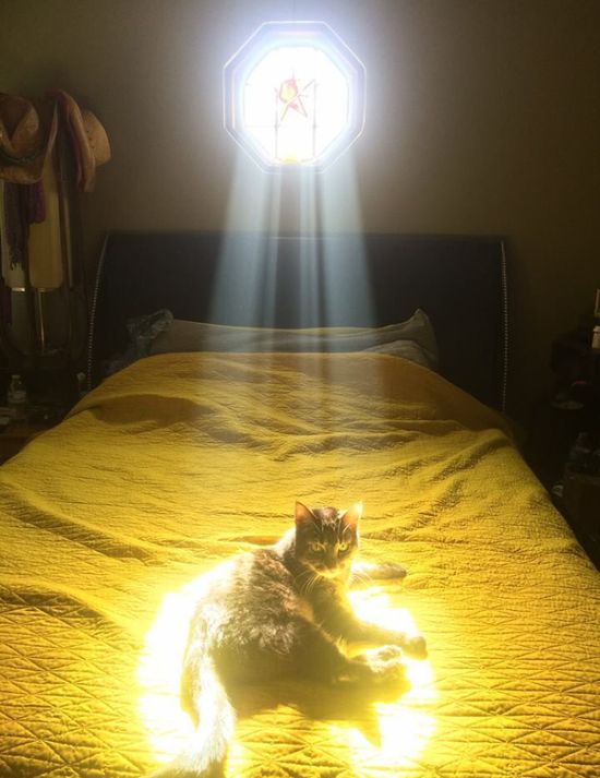 Acid Picdump (110 pics)