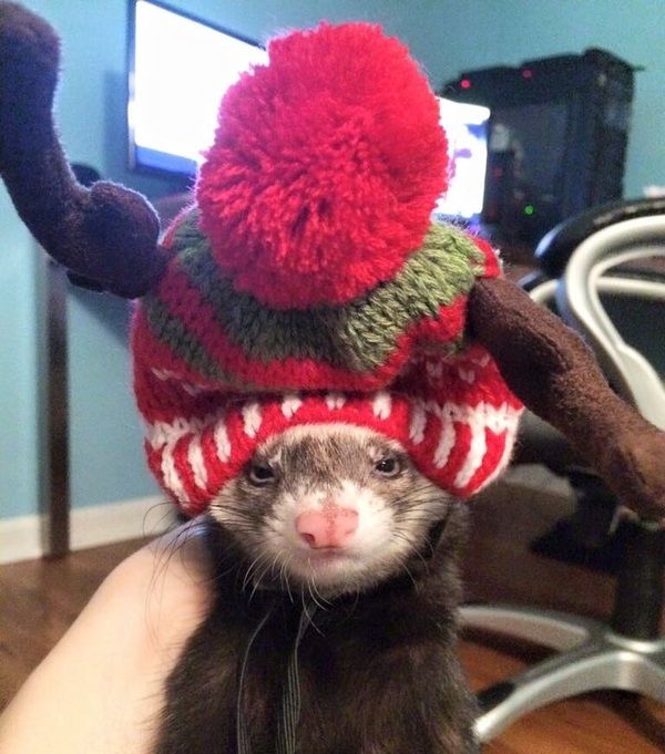 Acid Picdump (110 pics)