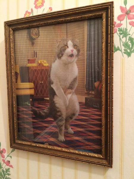 Acid Picdump (110 pics)