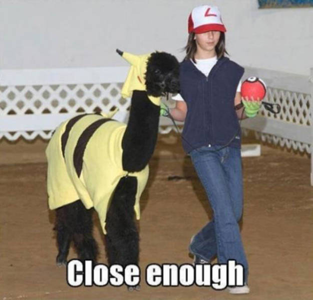 Pictures For The Gamers (32 pics)