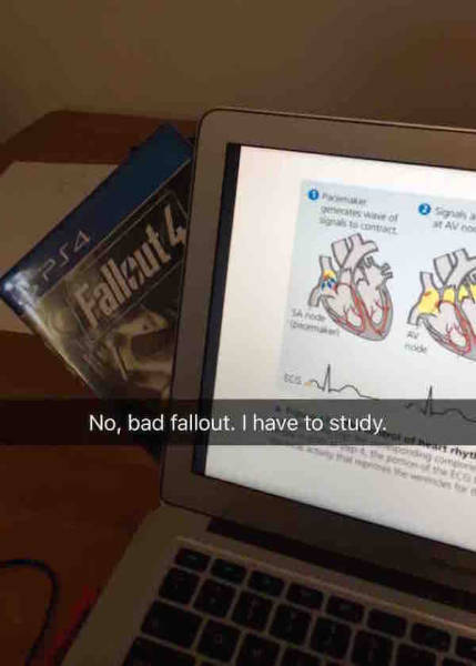 Pictures For The Gamers (32 pics)