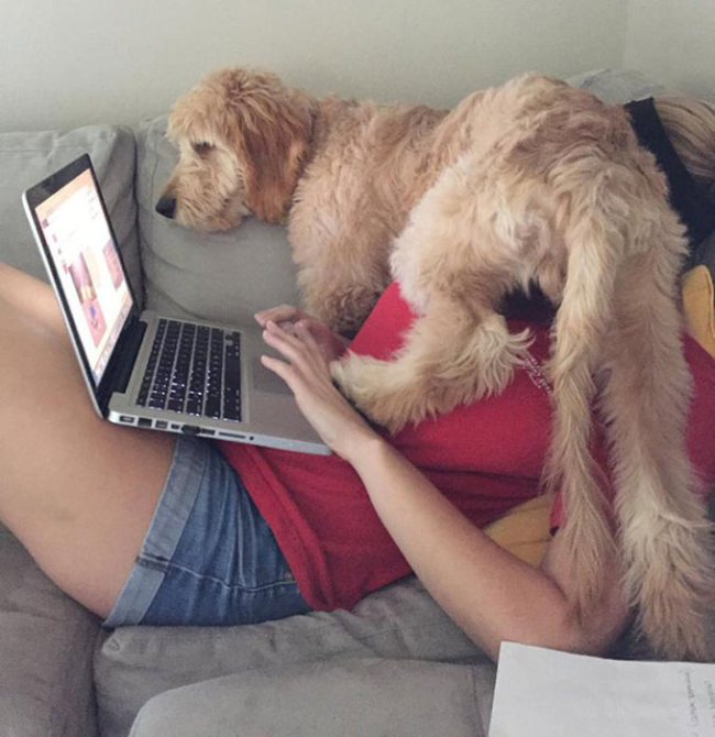 Dogs Are The Most Fun And Loyal Pets Ever (28 pics)