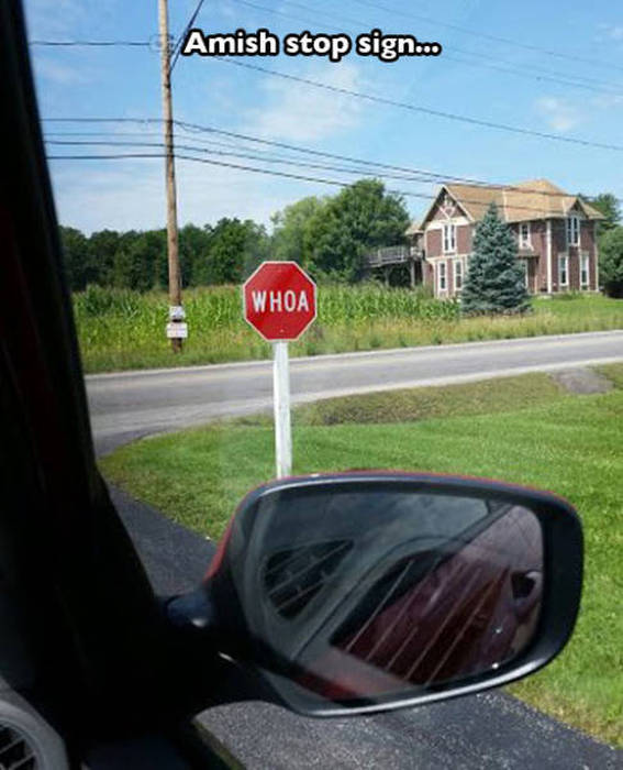 Hilarious Signs That You Would Love To See In Public (25 pics)