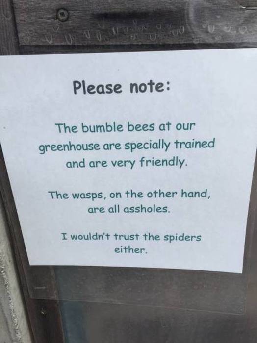 Hilarious Signs That You Would Love To See In Public (25 pics)