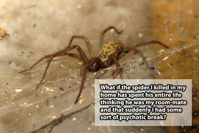 Shower Thoughts That Will Really Mess With Your Head (21 pics)