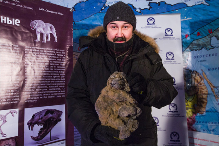 12,000 Year Old Frozen Cats Found In The Siberian Cold (14 pics)