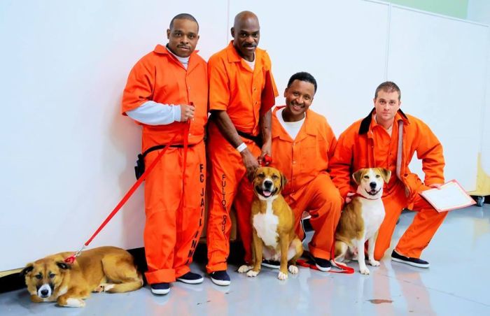 New Program Pairs Prisoners With Shelter Dogs (7 pics)