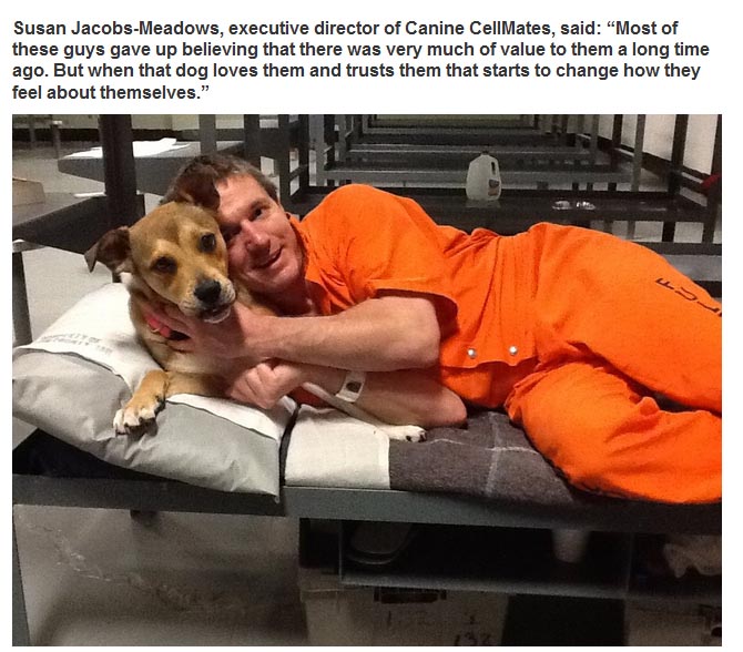 New Program Pairs Prisoners With Shelter Dogs (7 pics)