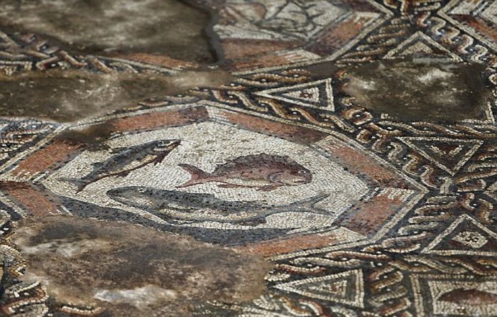 Archaeologists Discover An Incredible Mosaic In Israel (7 pics)
