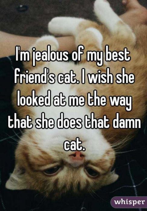 People Admit Their Reasons For Being Jealous Of Their Best Friend (12 pics)