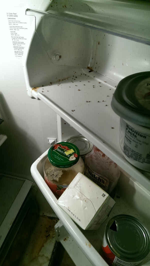 There's Definitely Something Living In This Fridge (7 pics)