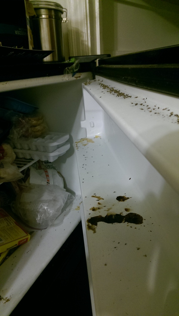 There's Definitely Something Living In This Fridge (7 pics)