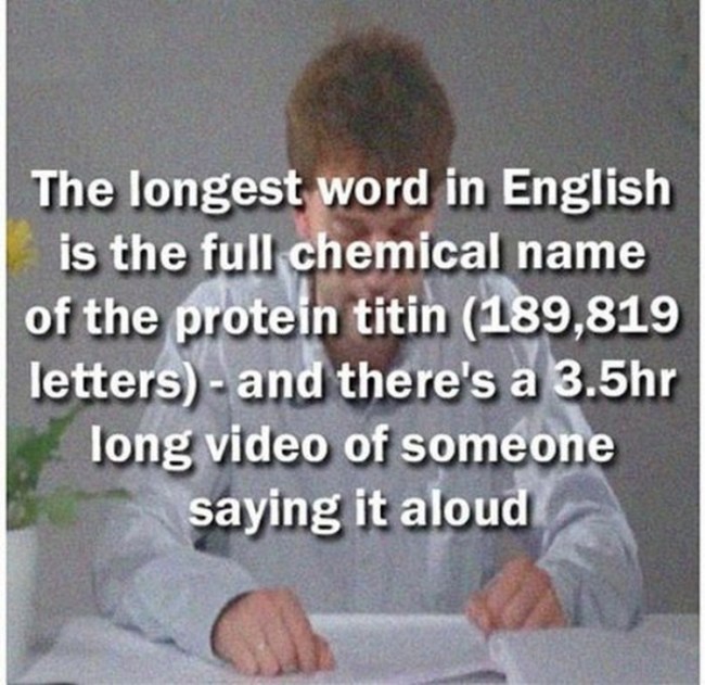 Interesting Facts That Might Surprise You (28 pics)