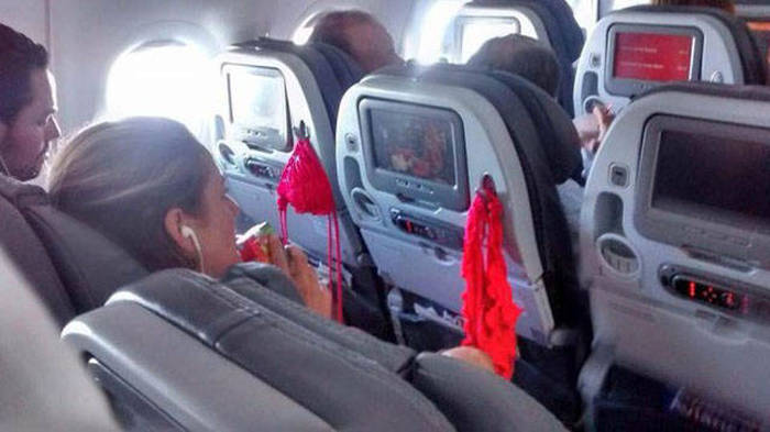 People Like This Take the Fun out of Travelling (30 pics)