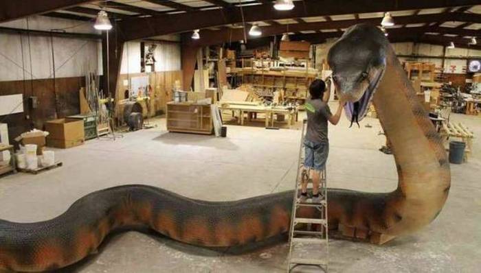 Acid Picdump (106 pics)